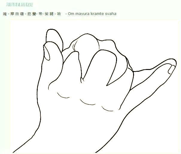 孔雀明王咒：摧毁毒害，净化身心，带来无尽福祉